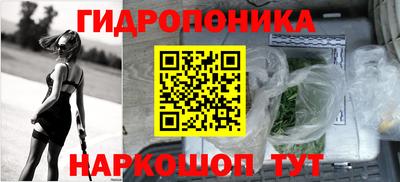 a pvp Гусев