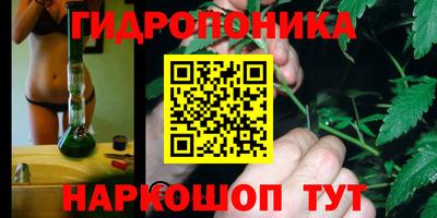 ПСИЛОЦИБИНОВЫЕ ГРИБЫ Гусь-Хрустальный